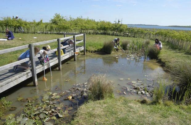 Abberton Reservoir