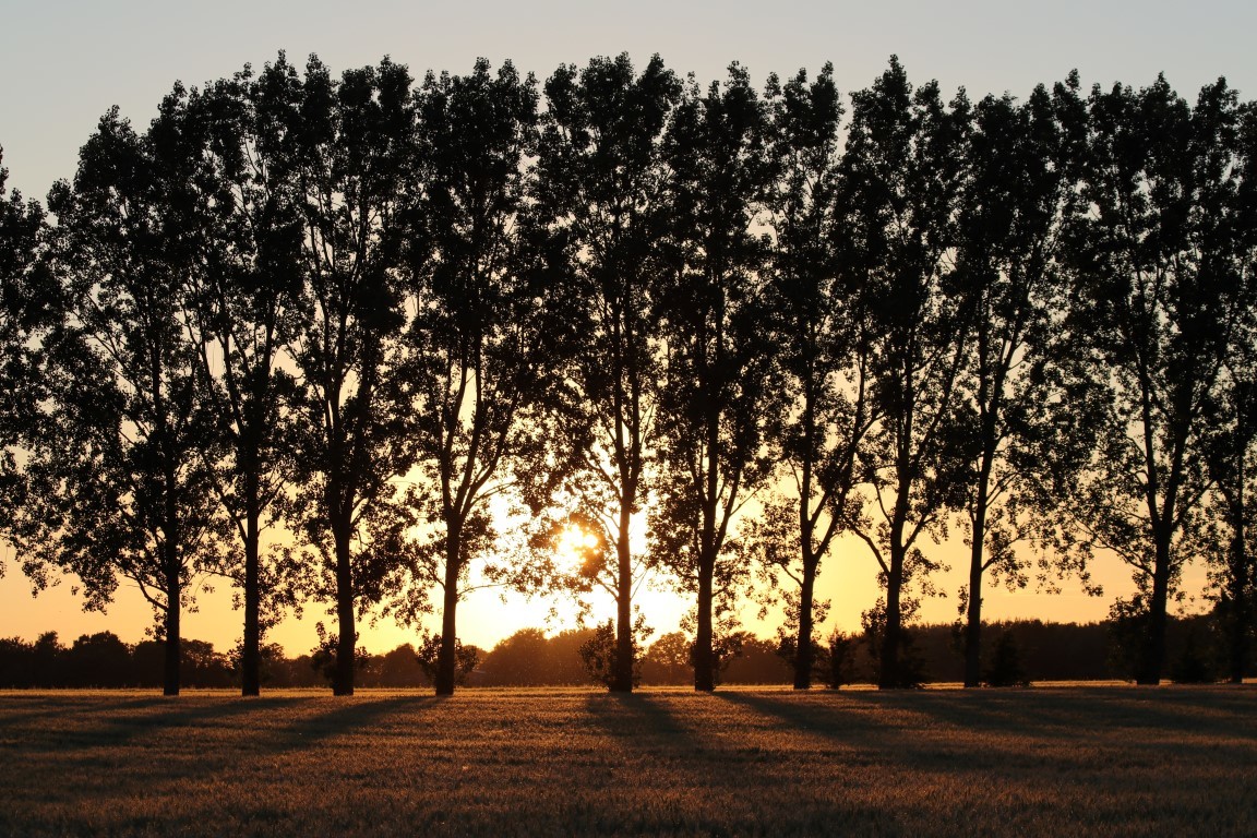 Boxted Airfield sunset